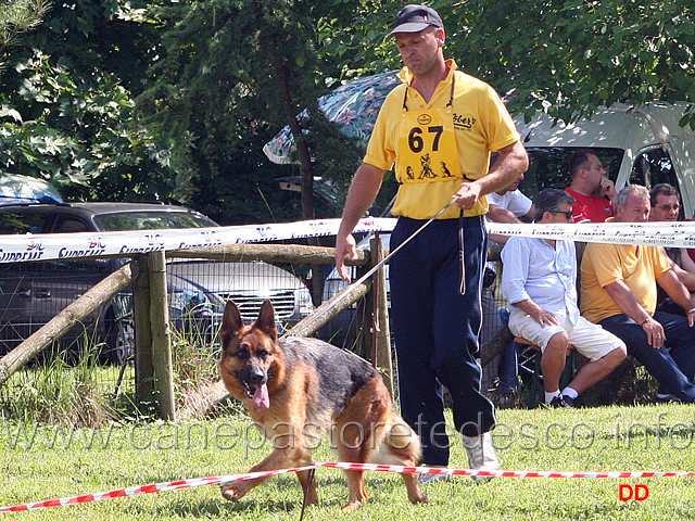 145.jpg - Classe lavoro femmine Giuly della Valle dei Rovi