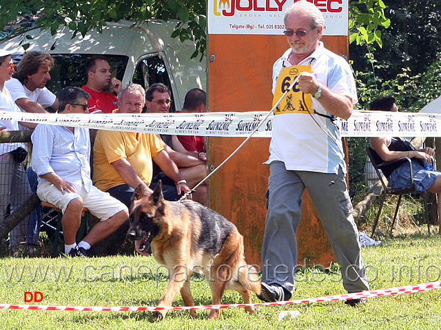 146.jpg - Classe lavoro femmine Dolly Karlsferlder Hof