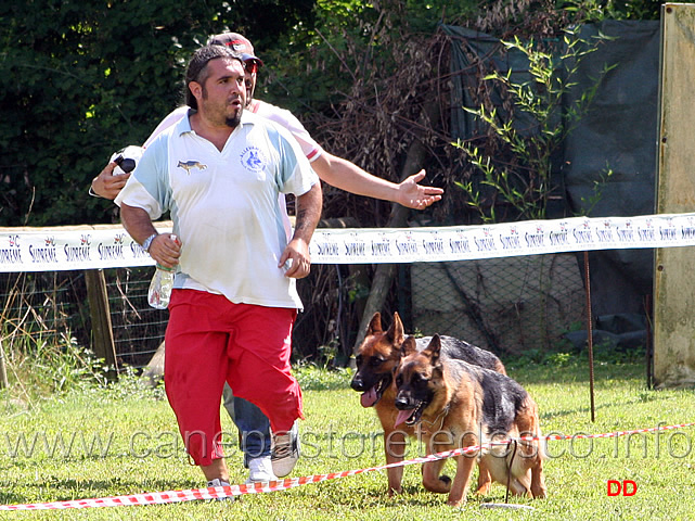 154.jpg - Classe lavoro femmine Dolly Karlsfelder Hof e Ewyn Il Mercabah al fuss