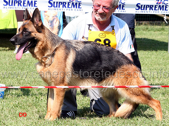 164.jpg - Classe lavoro femmine 3 Dolly Karlsfelder Hof