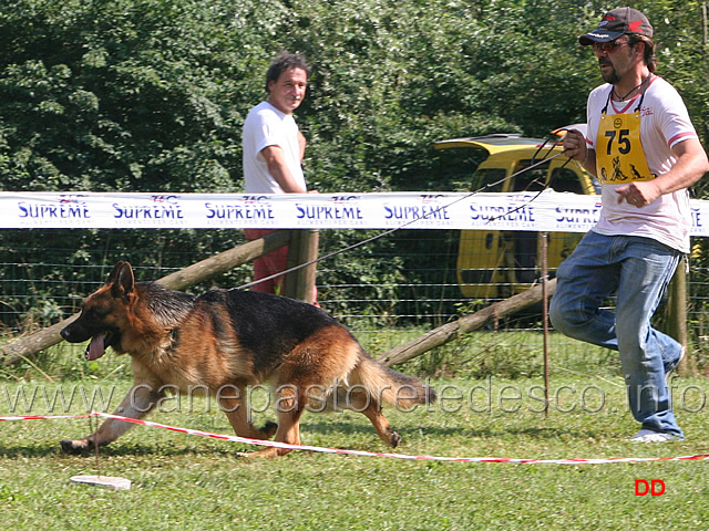 171.jpg - Classe lavoro maschi Dino di Casa Nobili