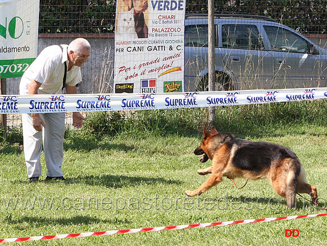 195.jpg - ..anche espositore con il suo Ethan dei Colli Storici