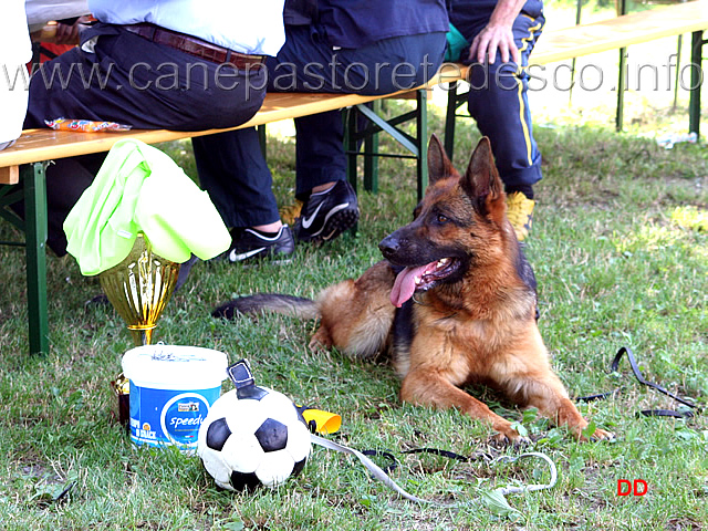 205.jpg - tu vai a prendere un altro ghiacciolo che io sto buona qui e faccio la guardia a coppa e pallone