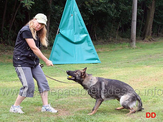 come-giocare-con-il-cane-02.jpg - Michelle Darimont mostra come giocare con il cane per impostare gli esercizi di IPO