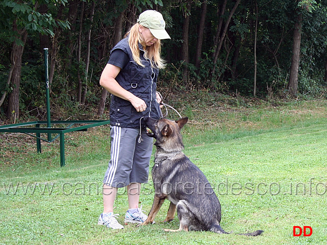 come-giocare-con-il-cane-03.jpg - Michelle Darimont mostra come giocare con il cane per impostare gli esercizi di IPO