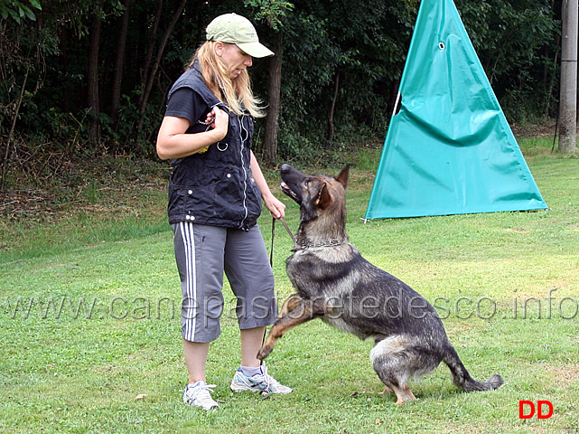 come-giocare-con-il-cane-04.jpg - Michelle Darimont mostra come giocare con il cane per impostare gli esercizi di IPO