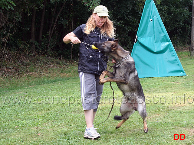 come-giocare-con-il-cane-05.jpg - Michelle Darimont mostra come giocare con il cane per impostare gli esercizi di IPO