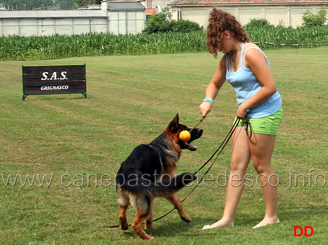 come-giocare-con-il-cane-06.jpg - Come giocare con il cane. Provano i ragazzi