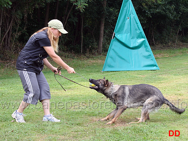 come-giocare-con-il-cane.jpg - Michelle Darimont mostra come giocare con il cane per impostare gli esercizi di IPO