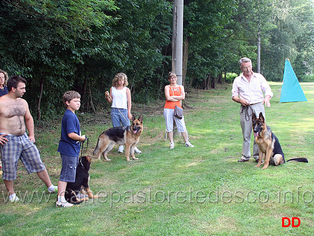 come-presentare-un-cane-02.jpg - A lezione da Gabriele Pettinaroli. Come presentare un cane