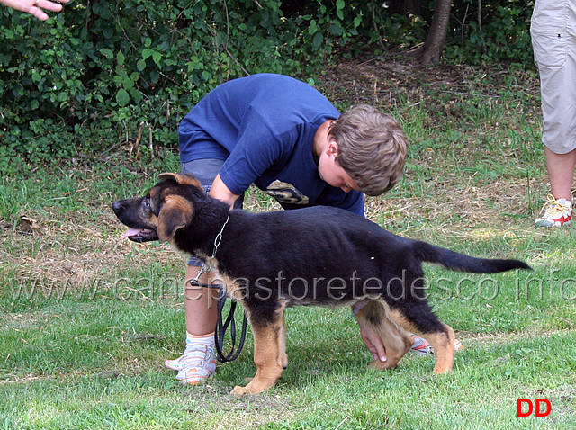 come-presentare-un-cane-06.jpg - Adesso vi faccio vedere cos'ho imparato ieri