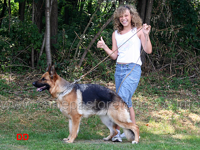 come-presentare-un-cane-13.jpg - Ma com'è divertente piazzare i cani!