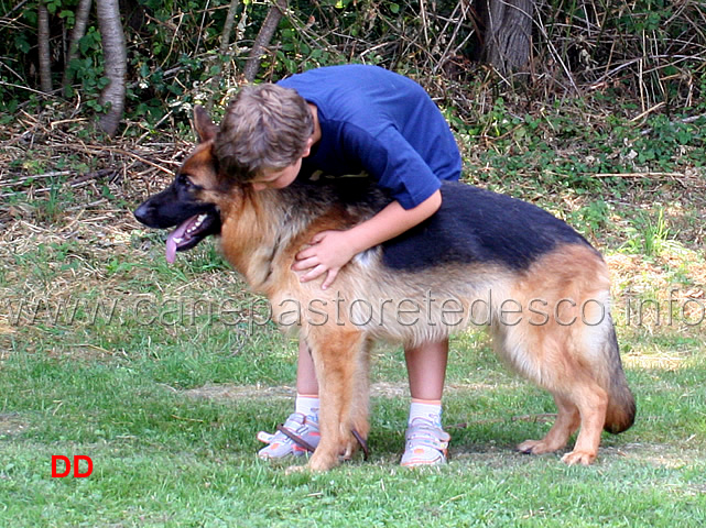 come-presentare-un-cane-16.jpg - Questa è un po' più pesante del cucciolo di prima...