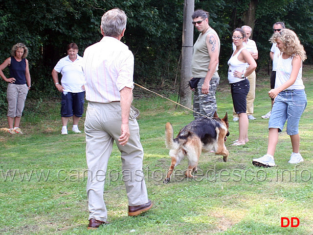 come-presentare-un-cane.jpg - A lezione da Gabriele Pettinaroli. Come presentare un cane