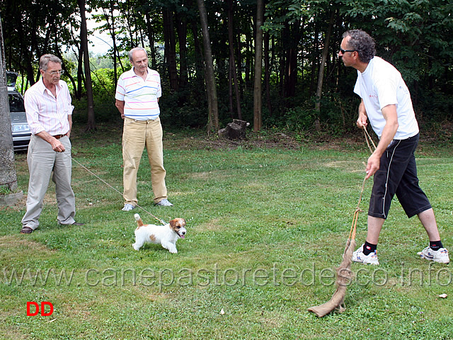 istinti-e-addestramento-02.jpg - Questa preda mi piace ...ma cosa devo farci?