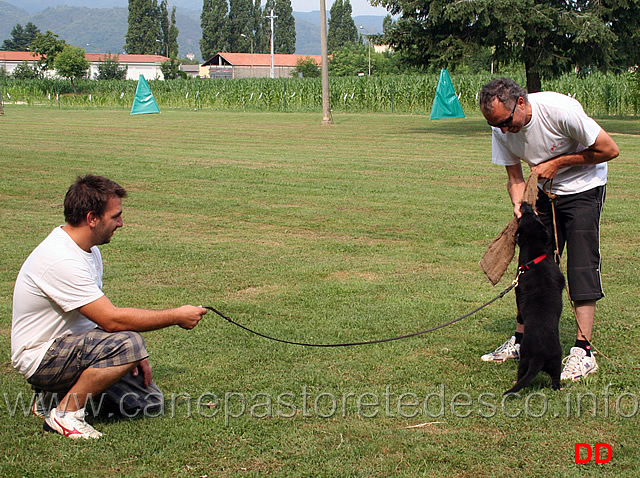 la-predazione-02.jpg - L'istinto predatorio