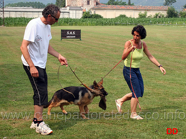 la-predazione-14.jpg - L'istinto predatorio lo hanno anche i cani di linee da esposizione