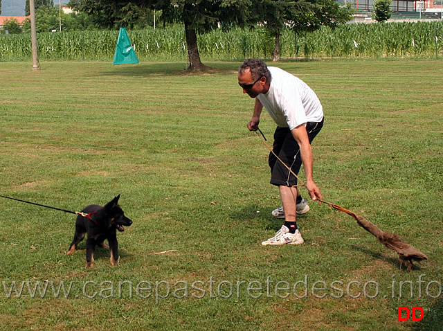 la-predazione.jpg - L'istinto predatorio