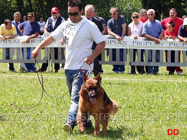 Gerryval-Ciro-.jpg - Giovani maschi Gerry Val Ciro