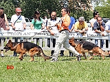 Homar-dei-Colli-di-Uzzano-e-Zeus-del-Catone-