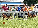 Homar-dei-Colli-di-Uzzano-e-Zeus-del-Catone