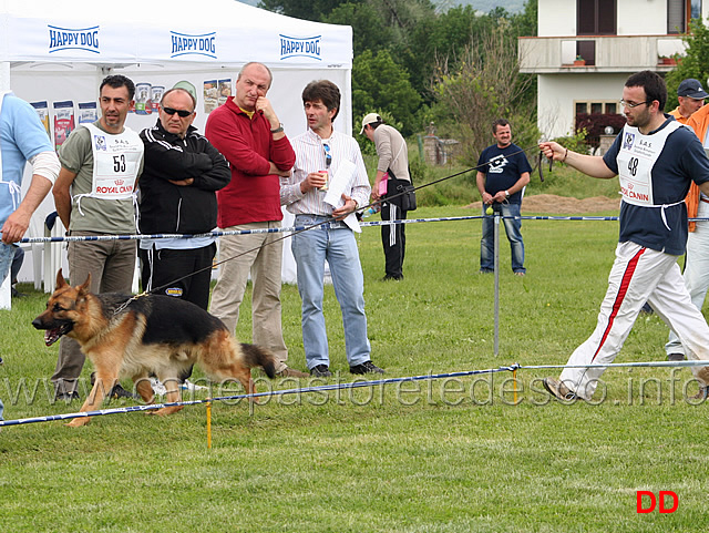 058_.jpg - Classe Giovanissimi maschi Dash della Valle dell'Arno