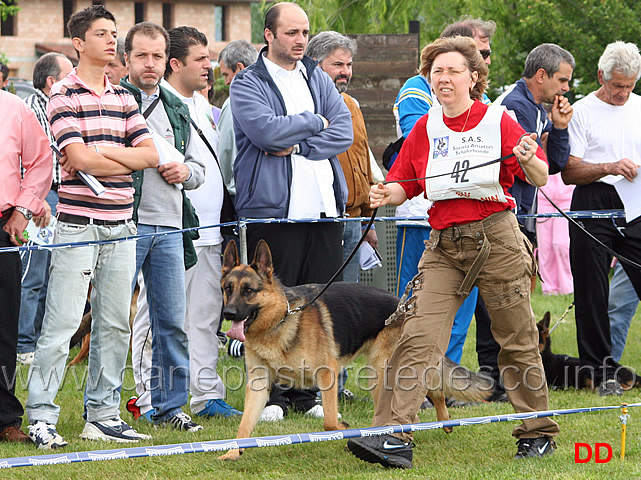 082.jpg - Classe Giovanissimi maschi 8 Nilo delle Belle Torri