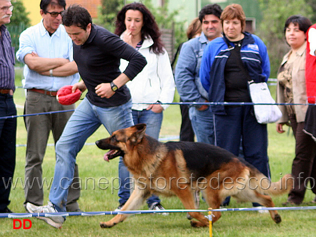 134.jpg - Classe Lavoro maschi Chevin della Grande Valle