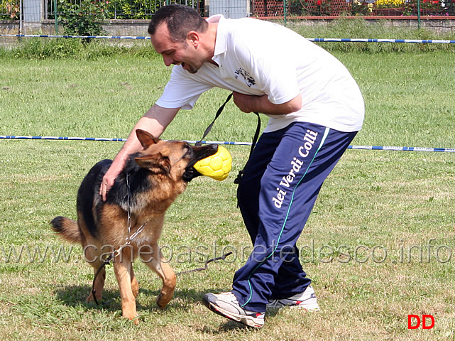 165.jpg - Finita la gara...si gioca!!! (Fabio Mazzasette con Quendy dei Verdi Colli)